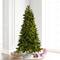 6.5ft. Pre-Lit Brighton Pine Artificial Christmas Tree, Color Changing LED Lights